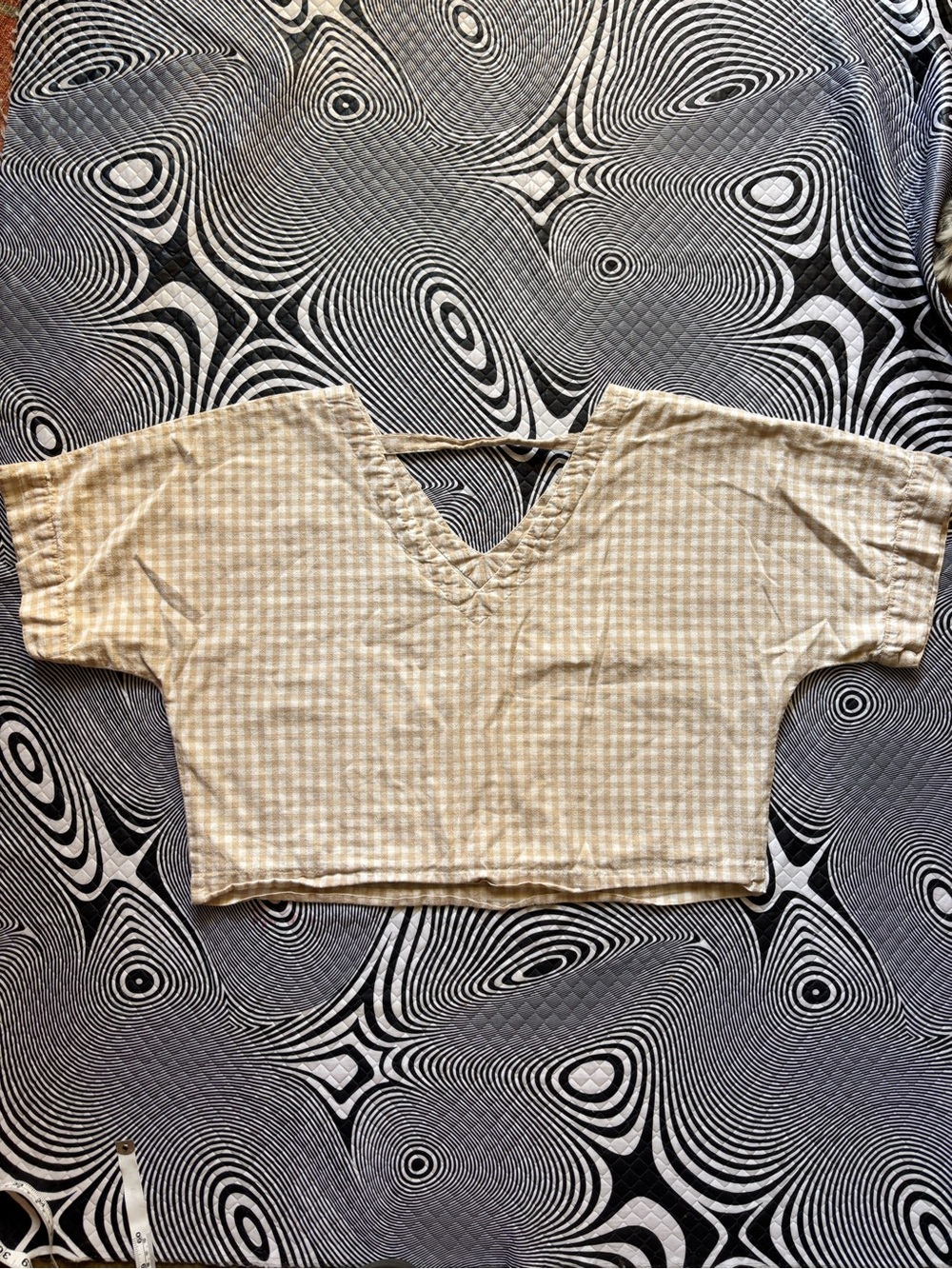 Light Beige Gingham V-Neck Cropped Top
